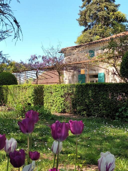 Charmant Studio Avec Jardin A La Campagne Sur Le Chemin De Saint Jacques De Compostelle Apartamento Lauzerte Exterior foto